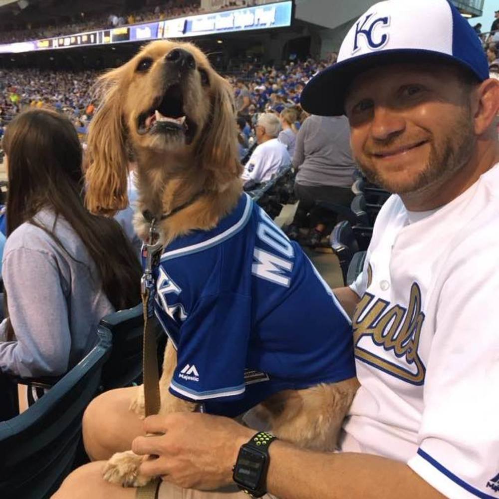 Meet your Posher, Greg